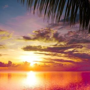 Meet your Posher, Deven